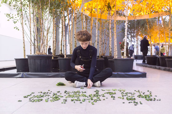 Vorne / front: Sarah Duerfel, Hotel **** for restless minds, hinten / back: Olafur Eliasson/Günther Vogt: Yellow Forest, Festival of Future Nows 2017