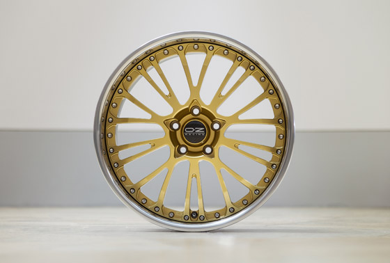 The Botticelli Renaissance